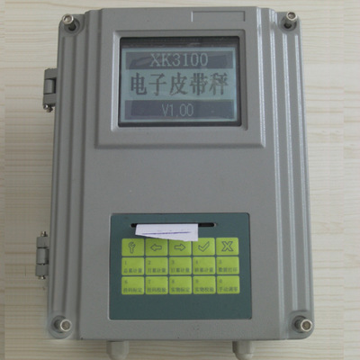 称重显示仪表XK3100型 山西批发电子皮带秤称重控制仪表设备