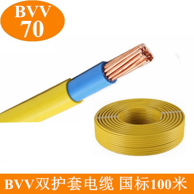 BVV70/95/120mm平方纯铜线双护套双皮纯铜芯电线电缆国标100米