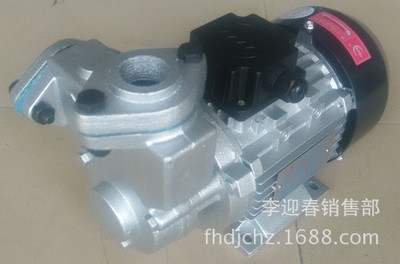 木川TS63,TS-63油泵370W高温油泵模温机油泵高温水泵耐温200度
