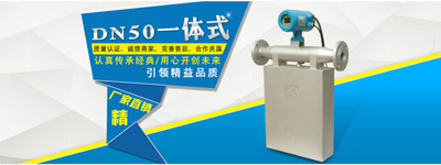 KLB-CMFI-DN50生产复合型质量流量计 环保脱硫行业质量密度计