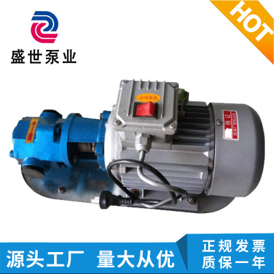 微型齿轮油泵 wcb50便携式齿轮油泵 柴油泵电动油泵 手提式转子泵
