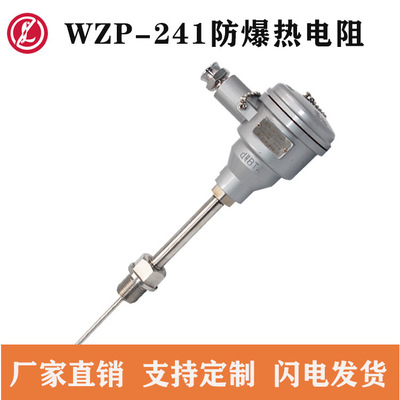 防爆热电阻WZP-241热电阻Pt100保护管316等级CT6厂家直销支持定制