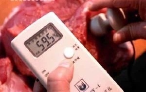 肉类水分快速测定仪/注水肉分析仪/注水肉检测仪/注水肉速测仪