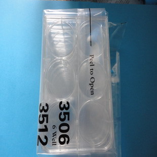 Corning/康宁 透明6孔细胞培养板 PS 3506 无菌包装