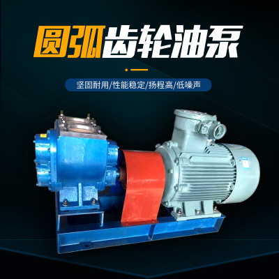 圆弧齿轮油泵 厂家直供 质量可靠转子泵 洒水泵 支持定制
