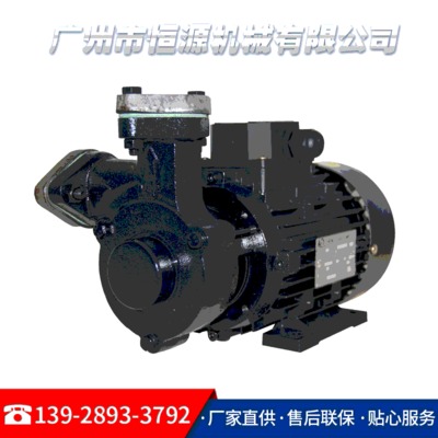 厂家直供HY-A2高温离心泵 模温机泵旋涡泵 电动高压齿轮泵批发
