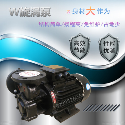旋涡泵/增压泵/贵州/四川/自吸泵/锅炉泵/铜叶轮/40W6-160重庆