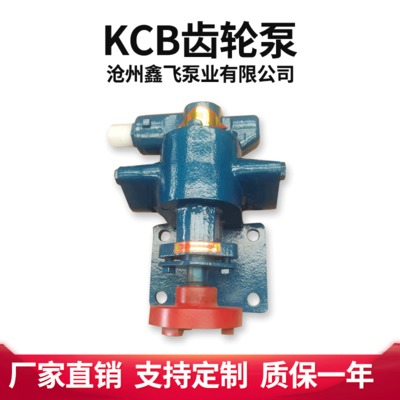 厂家批发KCB齿轮泵泵头 铸铁耐磨防爆自吸式齿轮油泵