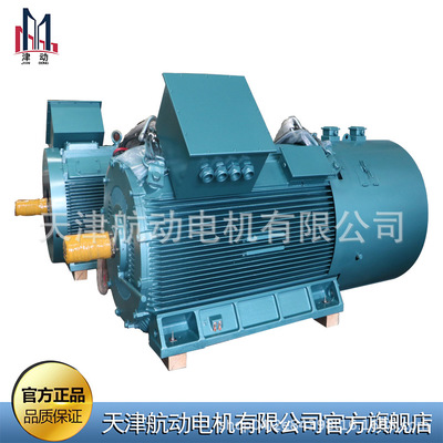 6000V高压电机 YKS3555-6-220KW/6000V异步高压电机