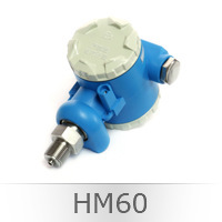 合资工厂直销德国汉姆压力传感器 矿用HM60防爆压力传感器