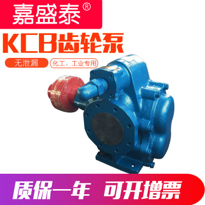 批发 kcb齿轮泵 KCB-633大流量润滑油输送油泵 铸铁双向齿轮油泵