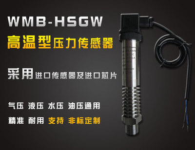 WMB-HSGW高温压力液位变送器/高温液位计/可到1000度温度
