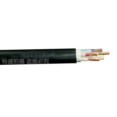 五芯 特盛 国标 铜芯电线YJV 5*10阻燃 保检无氧纯铜足平方电缆