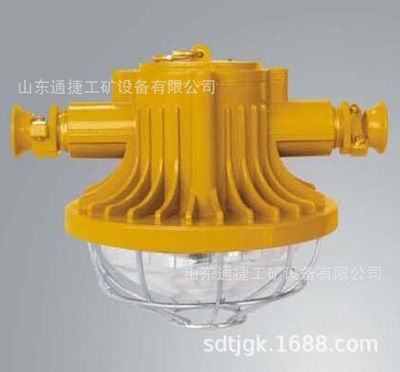 DGS30/127L(B)矿用隔爆型LED巷道灯