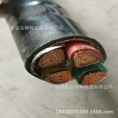YJV3*10电力电缆3芯架空电缆线 单芯1 2 4 5 6芯低压铜芯电缆
