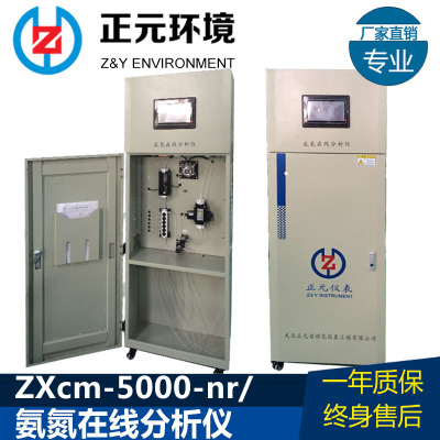 氨氮在线分析仪  氨氮在线监测系统 ZXcm-5000-nr水质检测仪