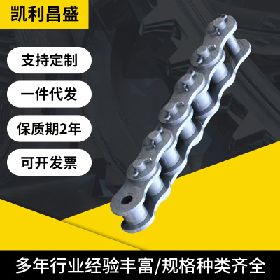 青岛厂家直销  不锈钢精密双排工业链条  不锈钢工业传动滚子链条