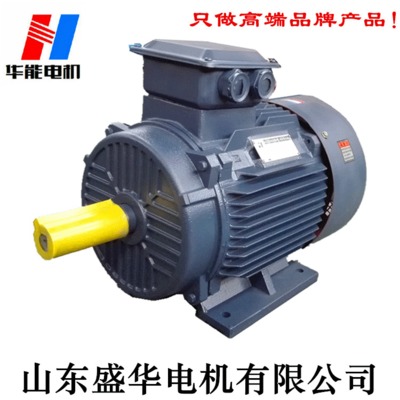 电机生产厂家直供水泵专用变频调速电动机 三相异步电动机