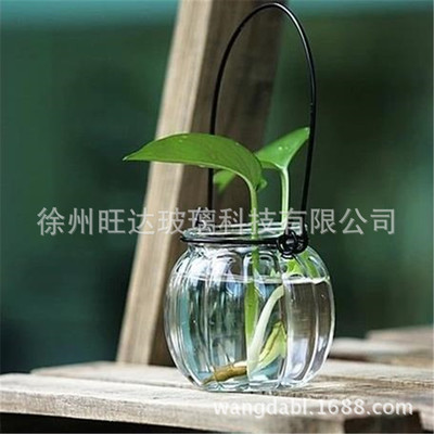 玻璃透明绿萝植物培养皿吊兰盆悬挂式水培器插花南瓜瓶源头厂家