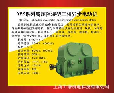 南阳防爆YBS系列高压隔爆型异步电机