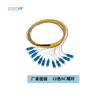 厂家直销 1.5米 电信级光纤尾纤  SC UPC 12芯方头 单模束状尾纤