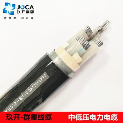 交流电缆 YJV22铠装电缆 YJV 3*10+2*6  耐寒电力电缆