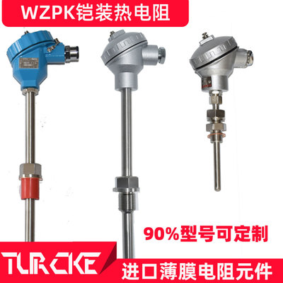 WZPK铠装热电阻 厂家pt100防水防爆防腐耐磨铂热电阻温度传感器