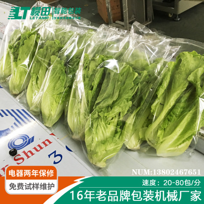 蔬菜保鲜自动化包装机 柯田全伺服保鲜膜蔬菜包装设备 直销