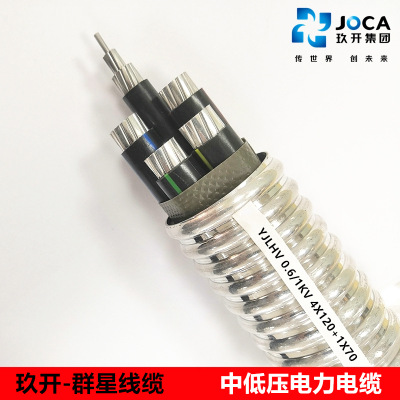 低压电力电缆  工程电力电缆 YJV交流线缆 YJV 4*16+1*10
