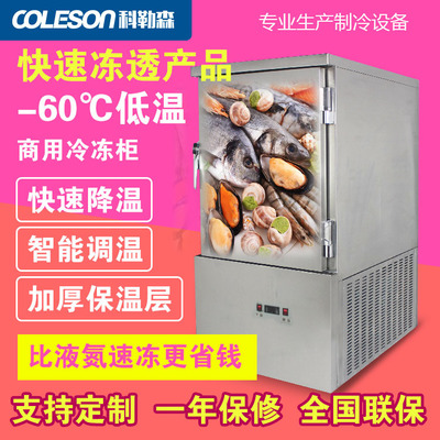 10盘食品速冻柜 小型低温速冻机 速冻肉类慕斯急速冷冻机 急冻柜图1