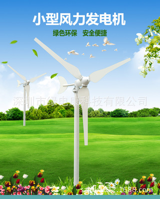 50W100w微型风力发电机 便携式风机景观风力发电机