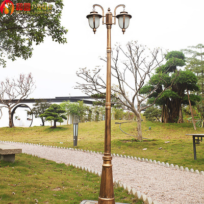 欧式庭院灯led户外防水别墅园林景观灯双头高杆3米花园灯小区路灯