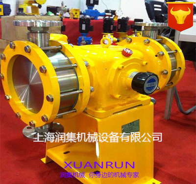 上海润集隔膜式计量泵 机械隔膜计量泵 计量加药泵 微型计量泵