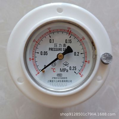 上海宜川上岭压力蒸汽灭菌器压力表0-0.25MPa轴向立式消毒锅配件