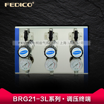 FEDICO实验室工厂气路终端减压器二级稳压控制面板气体管路调压阀