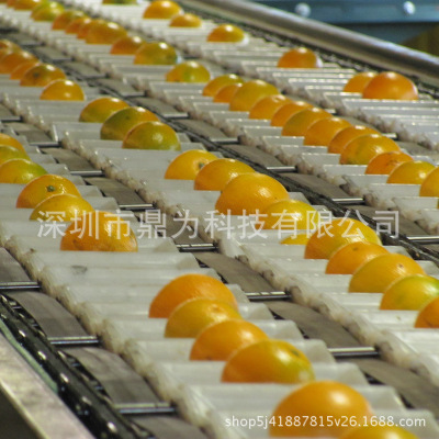 橙子分选机 分级机 光电式 重量式 电子式 果蔬 大小 颜色 水果