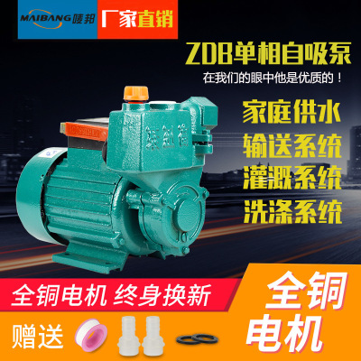 抽水泵抽水机农用电动单相微型水泵 370W家用清水泵ZDB自吸泵220V