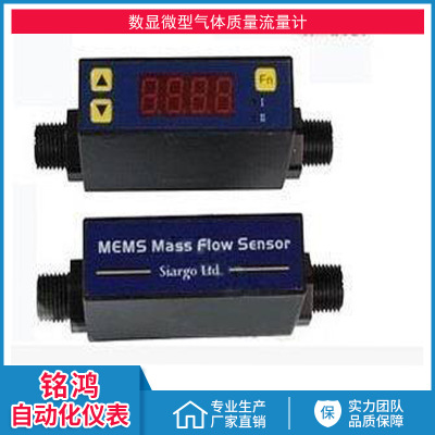 MF4008微型气体流量计 广东广州氧气质量流量计数显电子型传感器