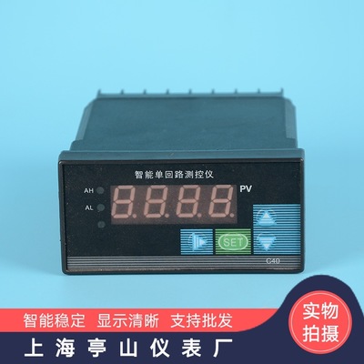 上海亭山单回路测控仪 智能压力、液位显示仪 单回路数显表