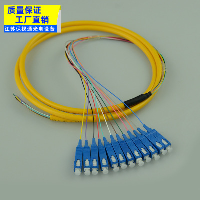 源头厂家电信级光纤跳线 束状尾纤 12芯束状尾纤SC-PC