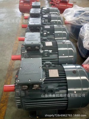 销售六安Y2 系列紧凑型高压电动机/销售六安YB3二级能效防爆