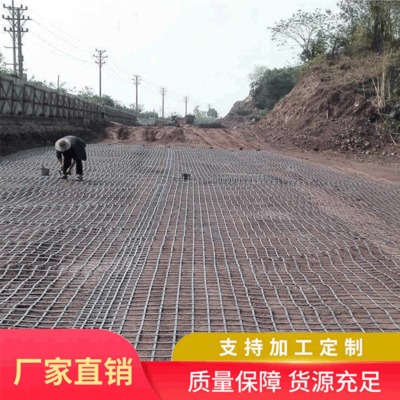 厂家直销加筋加固土工格栅公路土工格栅 定制果园养殖用土工格栅