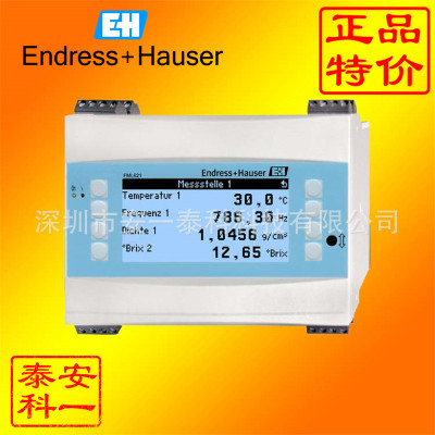 E+H音叉密度计积算仪控制器FML621 振动式密度计原装进口