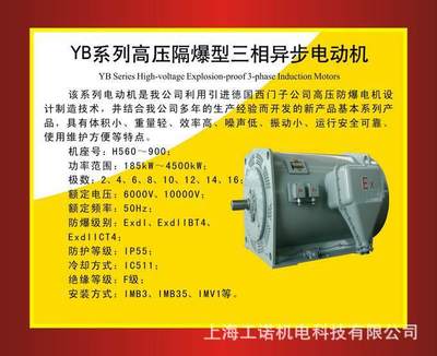 南阳防爆YB系列高压隔爆型异步电机