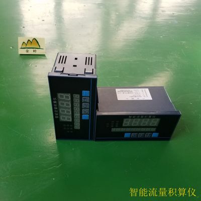 江苏金湖厂家直销 XMJA-9000流量积算仪 数显表数显仪
