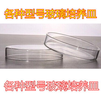 玻璃培养皿 细菌培养平皿60MM75MM90MM100MM120MM