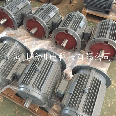 国标YX3系列11KW高效率高压三相异步电动机 YX3-160L-6