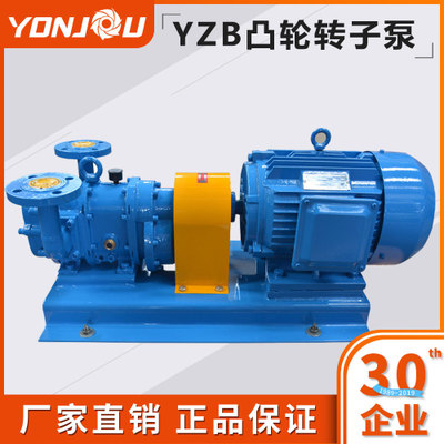 浙江永球 YZB凸轮转子泵 高自吸泵  污水泵 橡胶转子泵 泡沫液泵