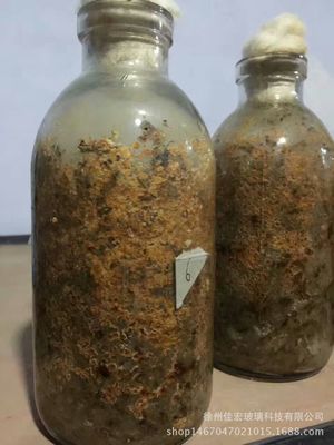 厂家直销菌种玻璃瓶750ml菌种玻璃瓶组培瓶蘑菇菌种瓶食用菌瓶