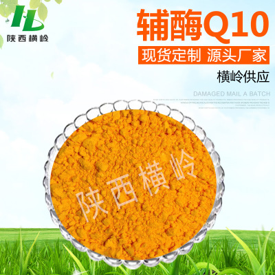 辅酶Q10粉20% 水溶性辅酶Q10 厂家供应 100g/袋 泛醌20% 现货包邮